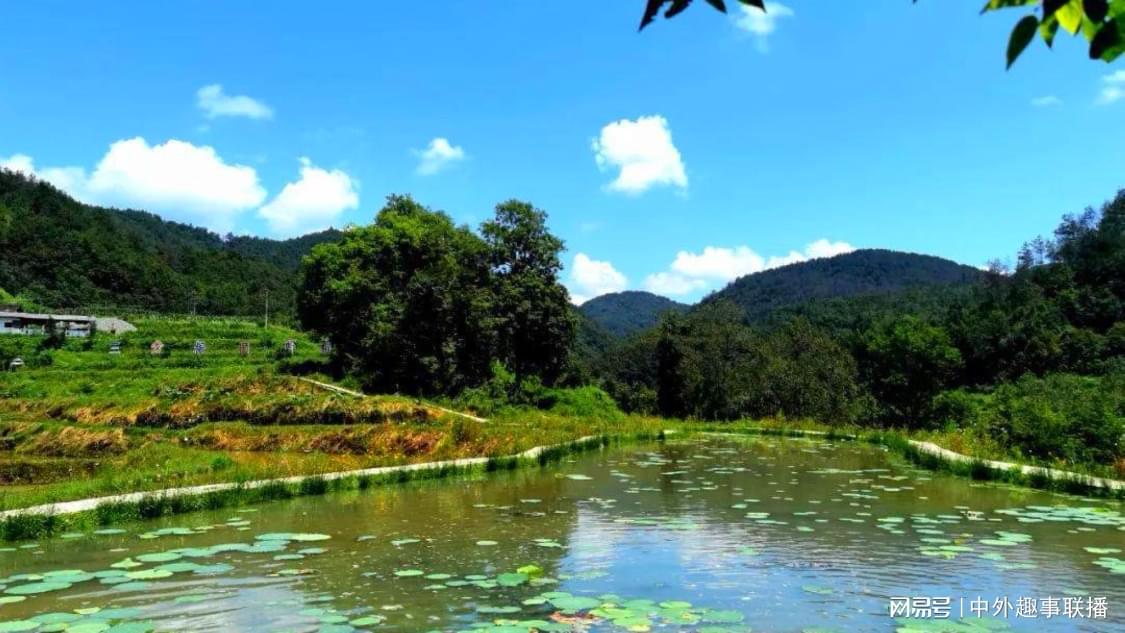 快手播放量网站平台：创意短视频内容运营增长手册